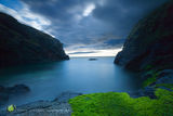 Cove Mastert Art