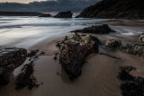Crantock - Limpets & Rocks