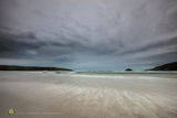 Crantock Dawn Pallor - rev