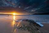 Crantock Glory