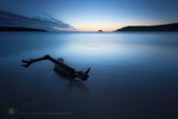 Crantock Solstice Blues - rev