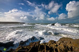 Crantock Tempest - rev