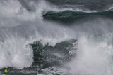 Cribbar Maelstrom IV