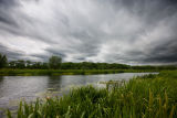 Darkening Skies