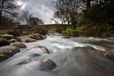 Dartmeet Winter