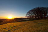 Dartmoor Sunburst