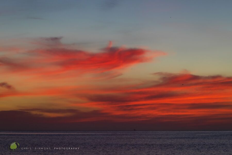 Dawn Blaze I