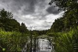 Epping Forest Pond