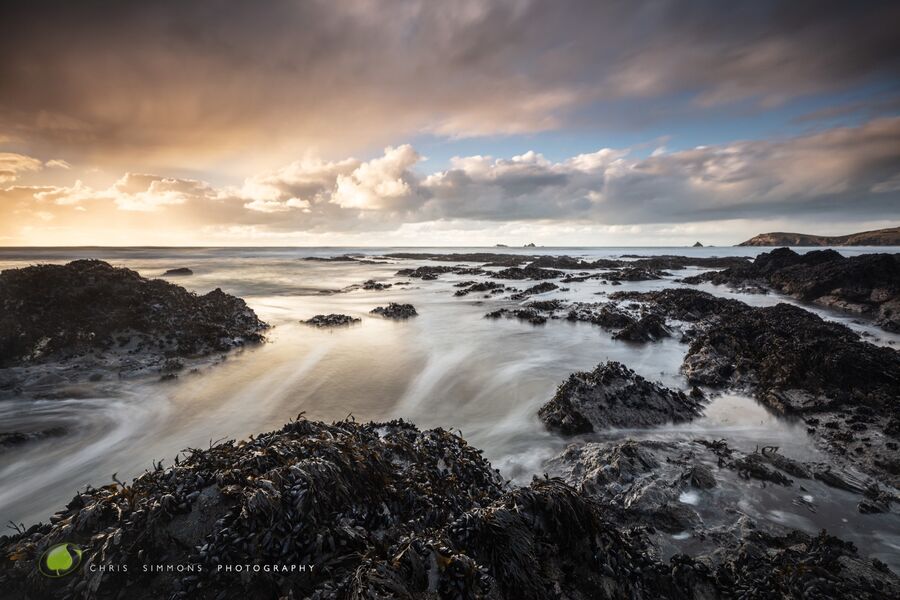 Falling Tide Art