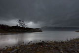 Glenborrodale Lochside