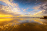 Golden Godrevy Lighthouse Art