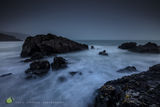 Grey Dawning, Lizard