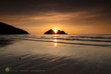 Gull Rocks, Spring Amber Tideline - rev