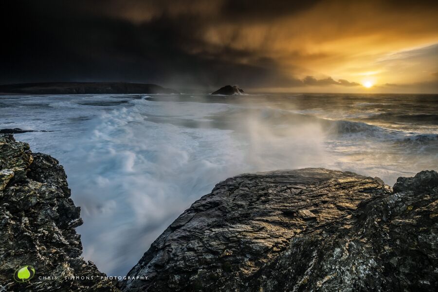 Gull Rocks Wintering Storm - Art
