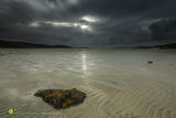 Harris Beach Autumn Textures