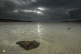 Harris Autumn Beach Textures