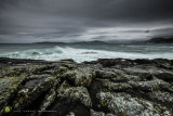 Harris Autumn Squall