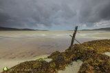 Harris Autumn Tidal Plain