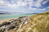 Harris Beach Sunshine