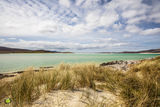 Harris Beach Sunshine III
