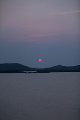 Harris Dawn Portrait