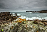 Hell Bay - Autumn Textures - rev