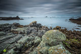 Hell Bay, Lichen & Rock