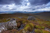 Highland Vista