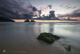 Holywell Rock & Tideline