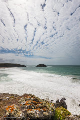 Holywell Surfline Portrait