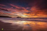 Holywell Sundown Glory
