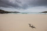Hushinish Bay Tideline