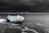 Icefloe Tideline III