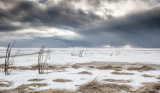 Icelandic Coastal Plain