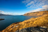 Inninmore Bay clearing
