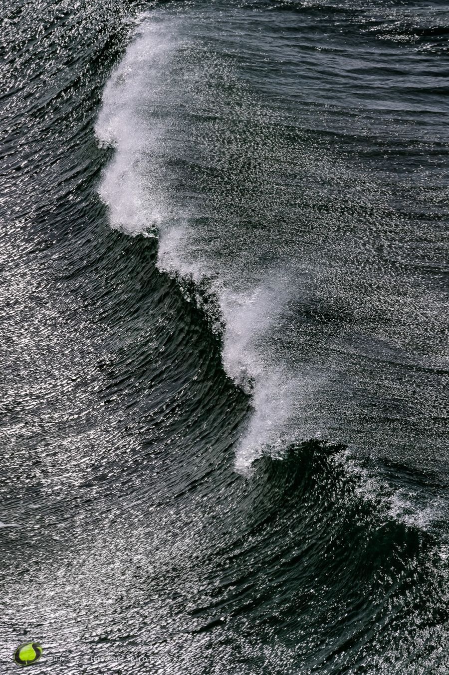 Into The Wave V