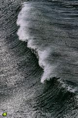 Into The Wave V