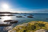 Knockvologan Sunburst