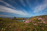 Kynance Cliffs - Rev