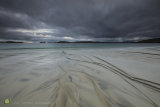 Lewis Bay Autumn Textures