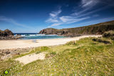 Cove & Daisies