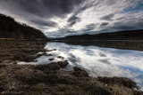 Loch Aline Ebb - Ardtornish