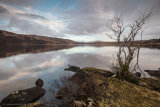 Loch Arianas Dusking - Ardtornish