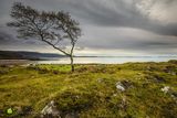 Loch Linnhe Vista