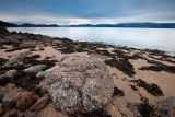 Loch Linnhe Textures