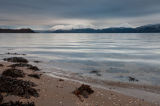Loch Linnhe Wintering