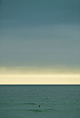 Lone surfer