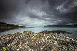 Lichen, Rock & Oyster Catchers