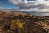 Lyn Of Morvern Sunshine - Ardtornish