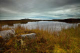Marshland Pool
